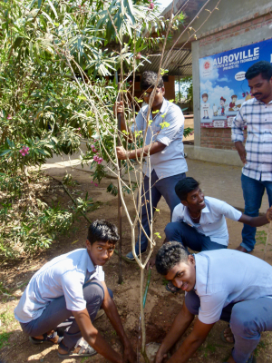 Environmental awareness