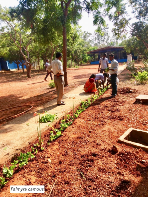 A small view on the Palmyra campus